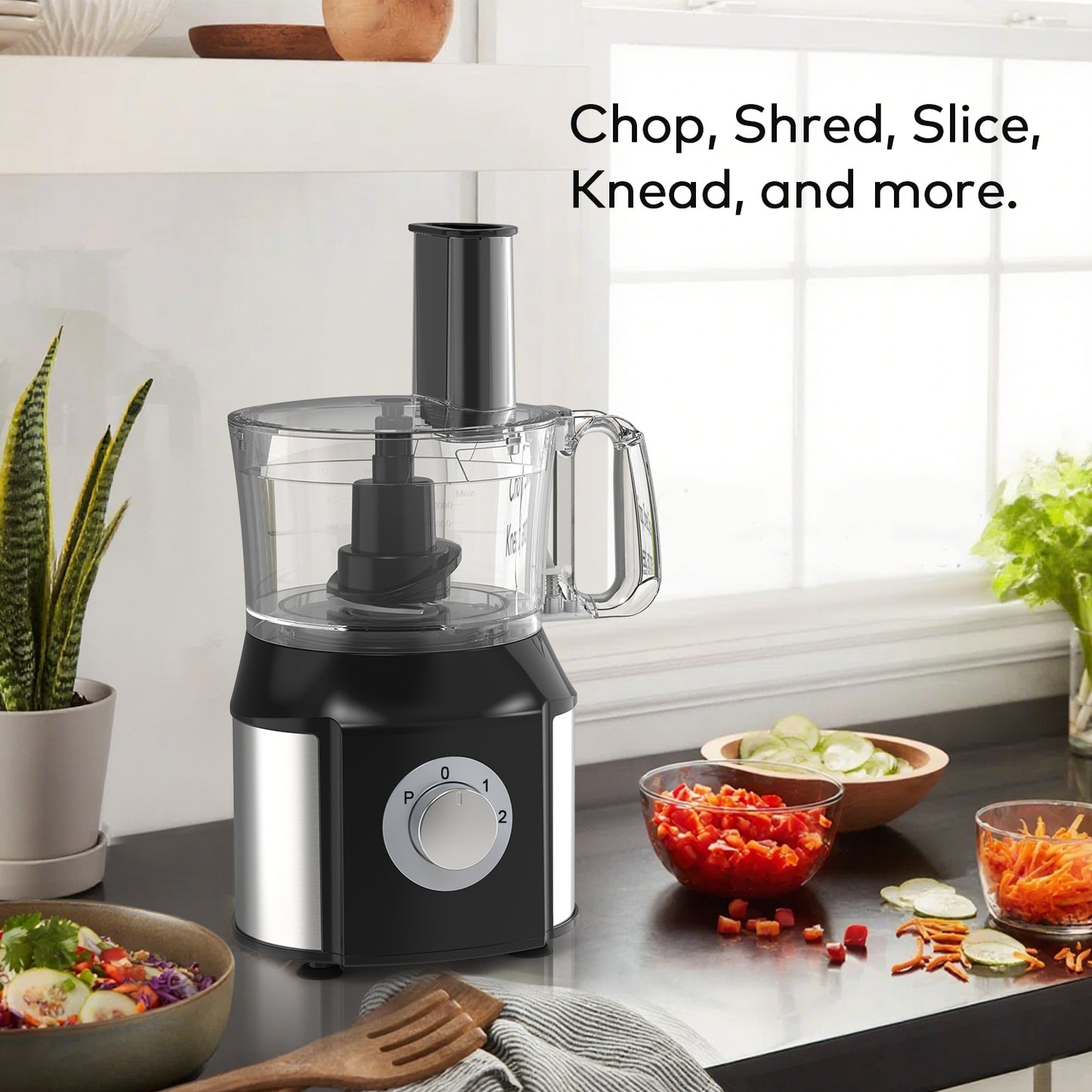 10 in 1 Food Processor